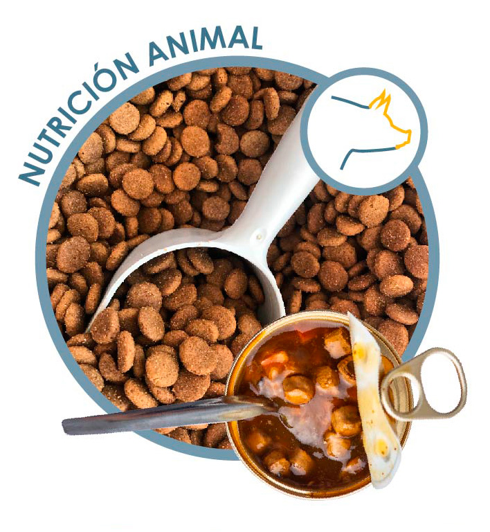 Vilher Nutrición Animal