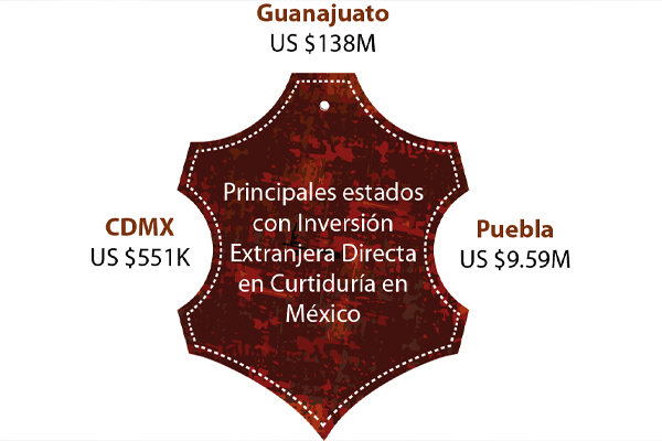 Panorama del sector de la curtiduría en México 2024