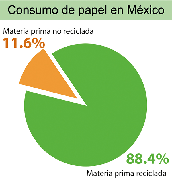 Industria papel y carton 2024