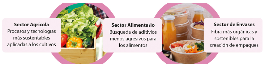 La química de alimentos sustentables