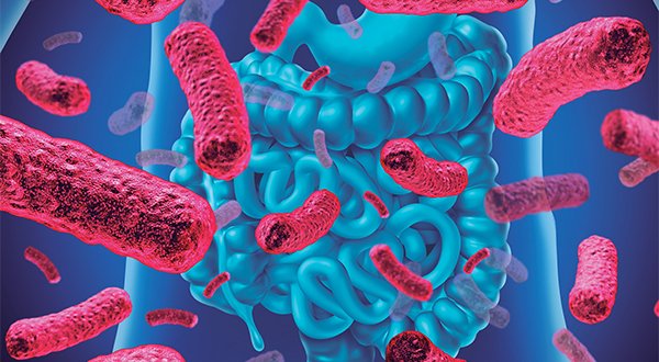Alimentos funcionales con probióticos, claves de la microencapsulación