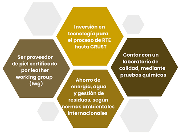 Curtiduría 2025