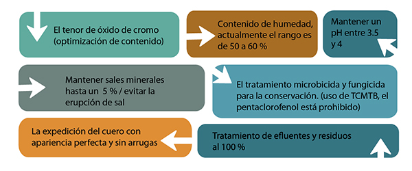 Curtiduría 2025