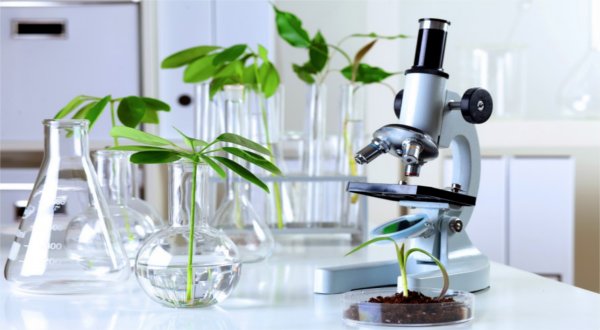 Fundamentos de la química verde