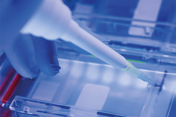 Industria de Químicos Básicos 2025