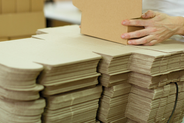 Industria del papel y el cartón en México 2024