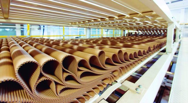 Innovación en la industria papelera