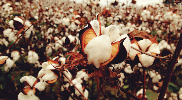 La industria textil y su relación con la química