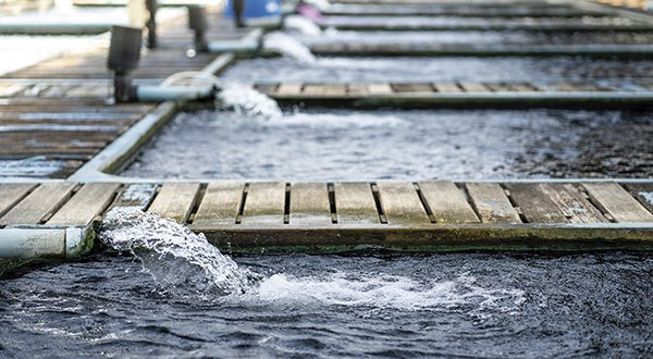 Los porqués de la demanda de químicos para tratamiento de aguas en México
