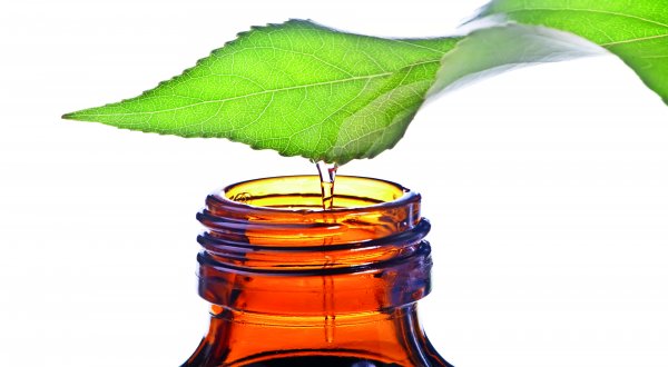 Obtención de aceites esenciales de alta calidad