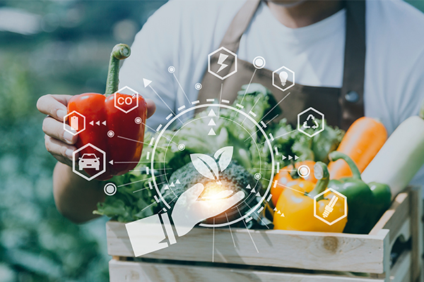Panorama del sector alimentario en México 2026