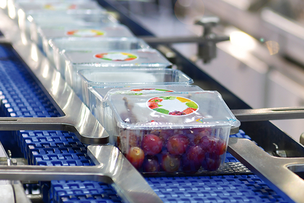Sector Alimentario 2021