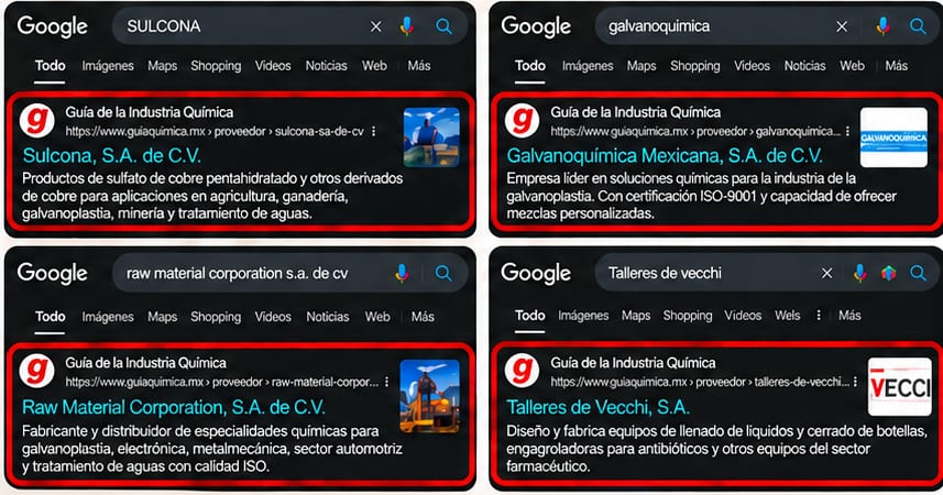 Cuatro búsquedas en Google de empresas anunciantes cuyo primer resultado es su página dentro de la Guía de la Industria Química