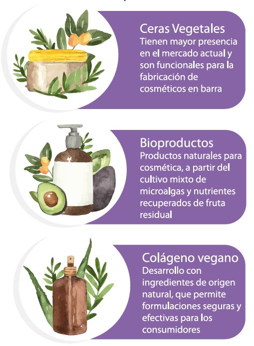 cosmetica 2025