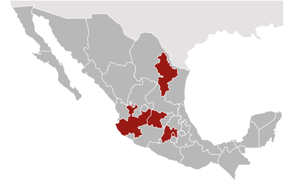 Cuero y piel en México