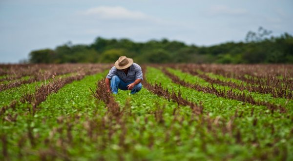 Sector agropecuario en México